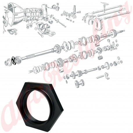 DADO PER ALBERO PRIMARIO
