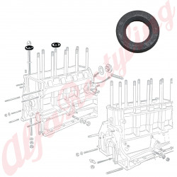 ROSETTA PER TESTATA CILINDRO